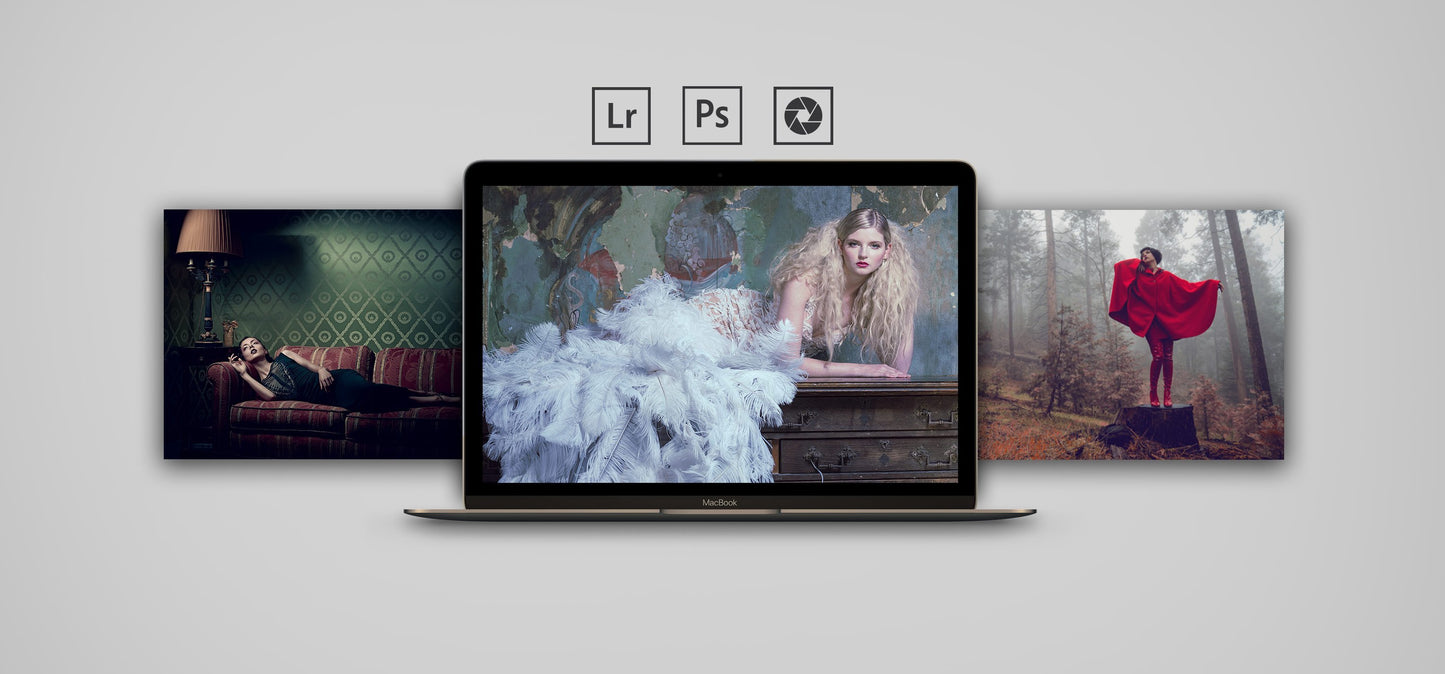 Master Collection All 10 Color Profile Packs - 100 3D LUTS