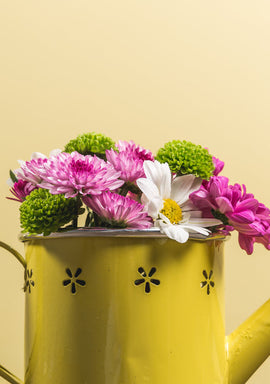 Yellow watering can