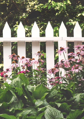 Wooden Fence