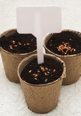 Biodegradable cardboard pots