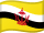 Brunei Flag