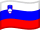 Slovenia Flag